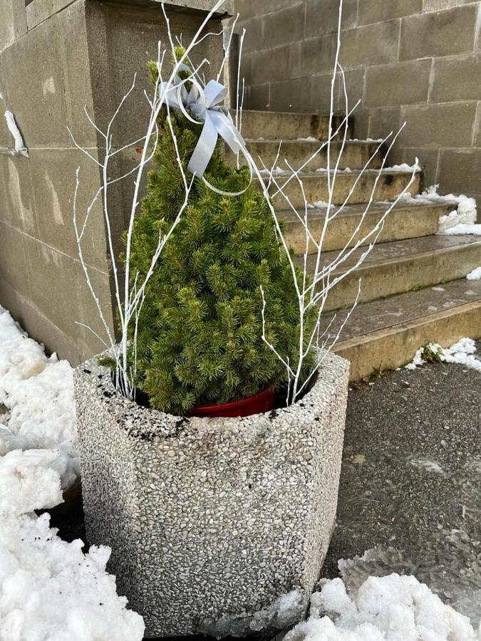 Ubytovna Kaplice Bagian luar foto